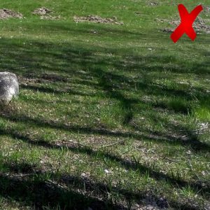 Guía a la Compra del Mejor Cortacésped | AgriEuro Blog