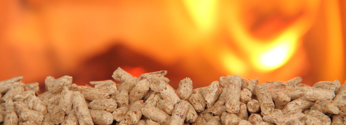 Civil fósil Racionalización Guía sobre la fabricación de pellet en casa | AgriEuro Blog