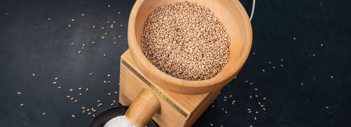 Moledora De Granos Manual Para Semillas Cereales Cafe 500